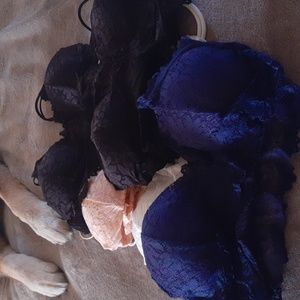 Size Medium 5 Bralettes
